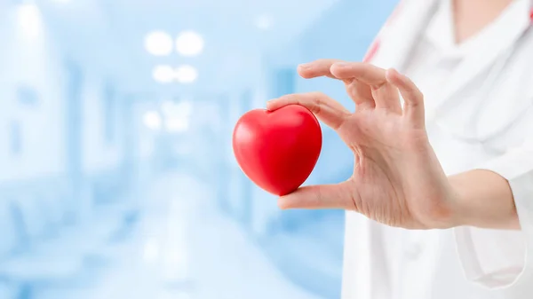 Doctor sosteniendo un corazón rojo en la oficina del hospital . —  Fotos de Stock