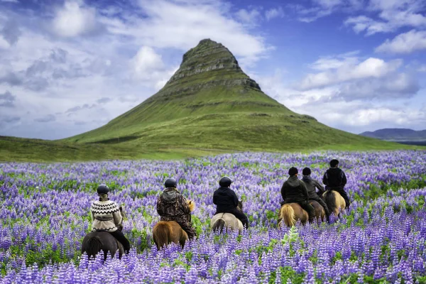 Tourist ride horse at Kirkjufell in Iceland. — Stock Photo, Image