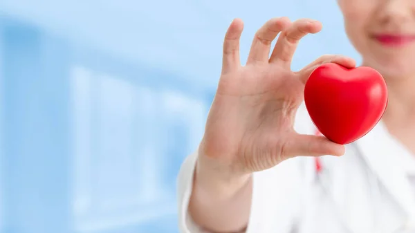 Doctor sosteniendo un corazón rojo en la oficina del hospital . —  Fotos de Stock