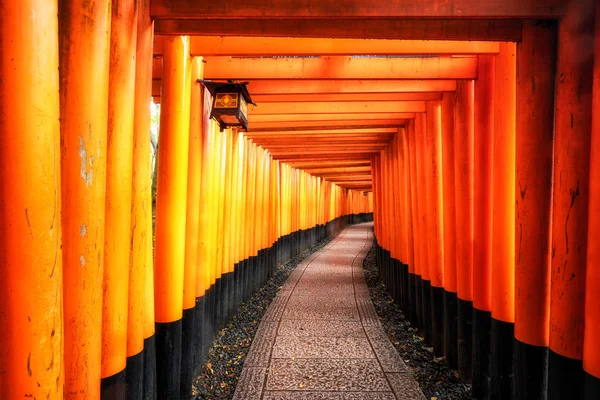 Röda Torii Gates i Fushimi Inari i Kyoto, Japan. — Stockfoto