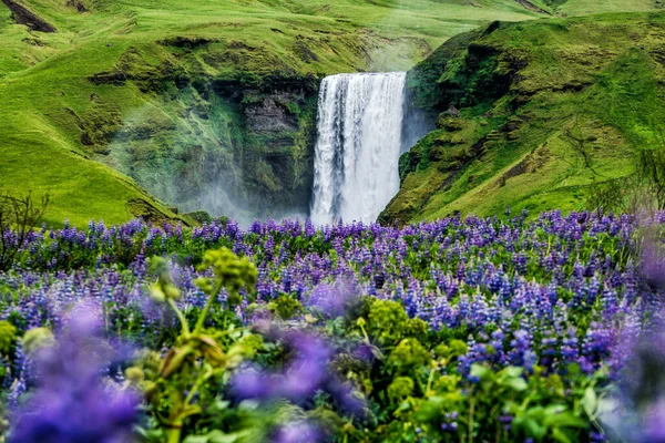 Skogafoss Wasserfall in Island im Sommer. — Stockfoto
