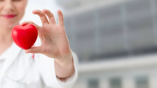 Doctor holding a red heart at hospital office. — Stock Photo, Image