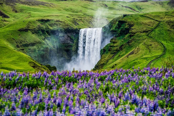 Cascade de Skogafoss en Islande en été. — Photo