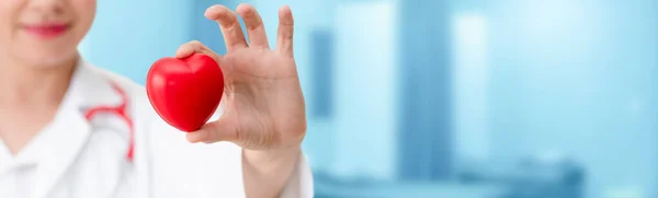 Doctor holding a red heart at hospital office. — Stock Photo, Image