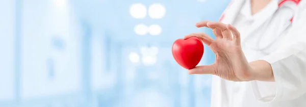 Doctor Holding Red Heart Hospital Office Medical Health Care Doctor — Stock Photo, Image