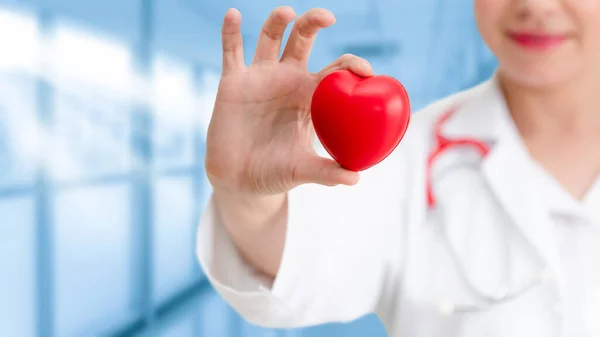 Доктор держит красное сердце в больничном офисе . — стоковое фото