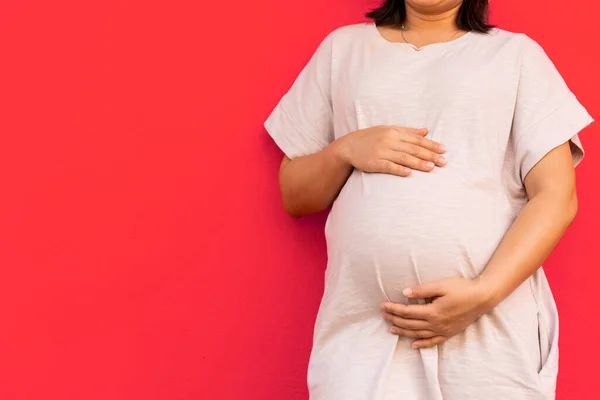 Mujer Embarazada Sintiéndose Feliz Casa Mientras Cuida Hijo — Foto de Stock