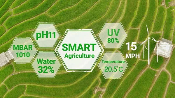 Tecnología Inteligente Agricultura Digital Mediante Gestión Futurista Recolección Datos Sensores —  Fotos de Stock