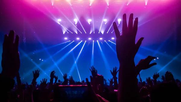 Gente Feliz Baila Concierto Fiesta Discoteca Escucha Música Electrónica Escenario — Foto de Stock