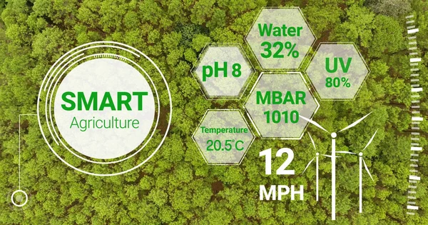 Tecnología Inteligente Agricultura Digital Mediante Gestión Futurista Recolección Datos Sensores —  Fotos de Stock