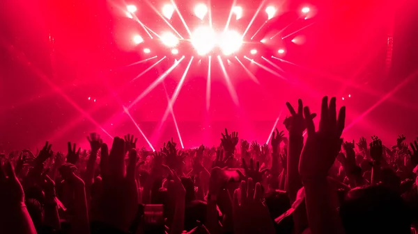 Pessoas Felizes Dançam Show Festa Boate Ouvem Música Eletrônica Dança — Fotografia de Stock