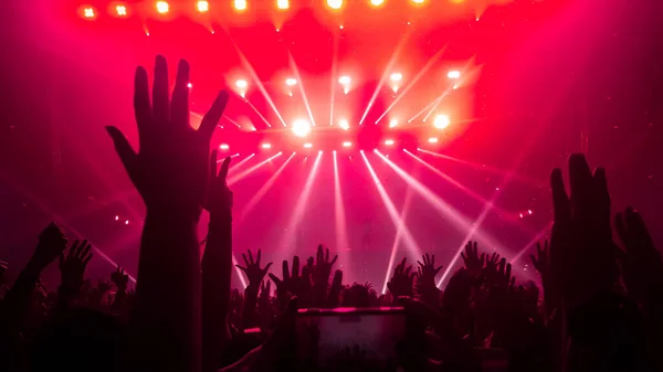 Pessoas Felizes Dançam Show Festa Boate Ouvem Música Eletrônica Dança — Fotografia de Stock