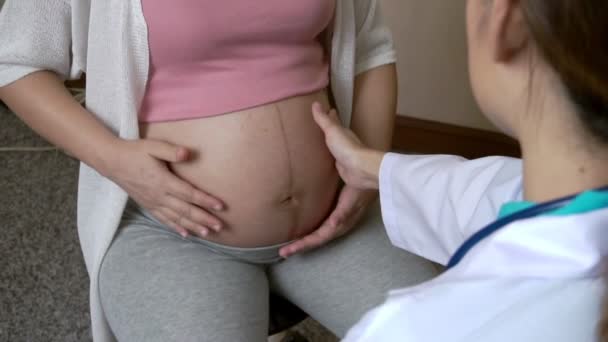 病院の妊婦・婦人科医 — ストック動画