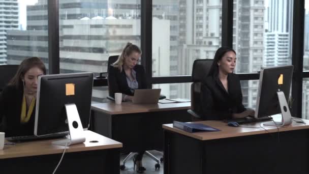 사무실에서 데스크 탑 컴퓨터로 일하는 사업가들. — 비디오