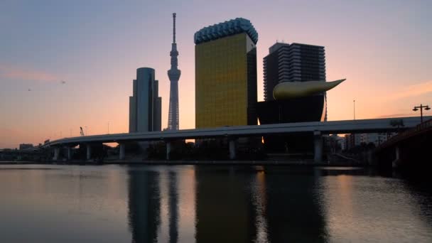 Skyline von Tokio bei Sonnenaufgang. — Stockvideo