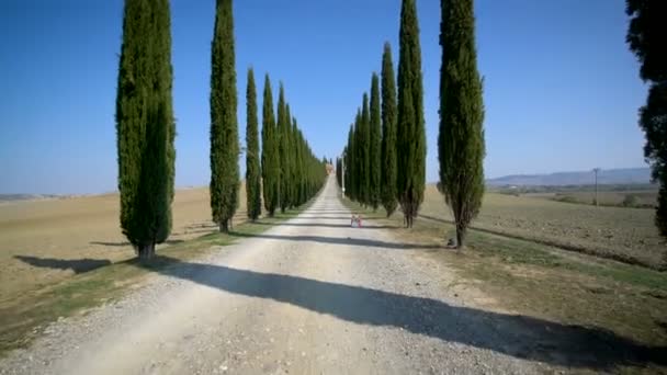 Toskana Yolu 'ndaki Cypress Ağaçları Sırası - Sürücü POV — Stok video
