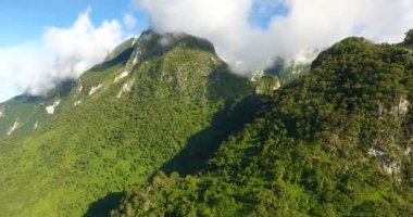 Dağ ve ormanın havadan görünüşü.