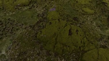 İzlanda 'daki yosunlu lav alanının havadan görünüşü.