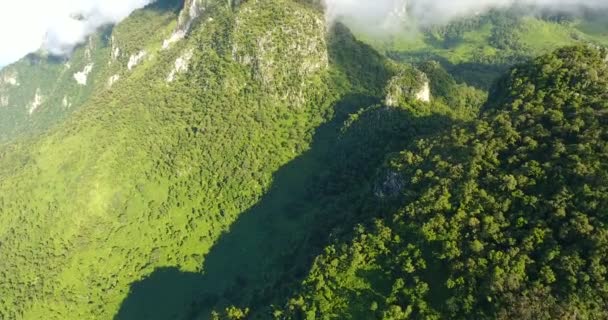 산과 숲의 항공 사진. — 비디오