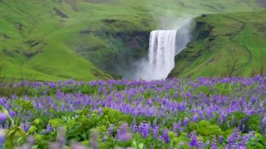 Skogafoss Şelalesi Yazın İzlanda 'da.