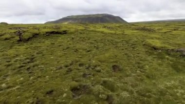 İzlanda 'daki yosunlu lav alanının havadan görünüşü.