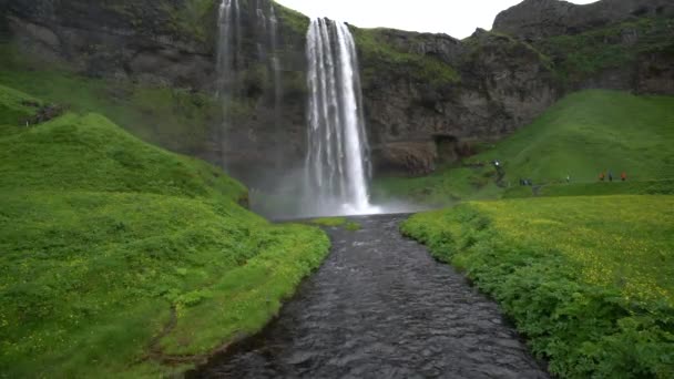 Magical Seljalandsfoss Cachoeira na Islândia . — Vídeo de Stock