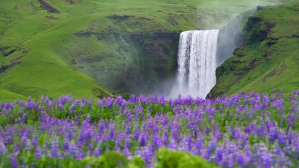 Wodospad Skogafoss w Islandii latem. — Wideo stockowe