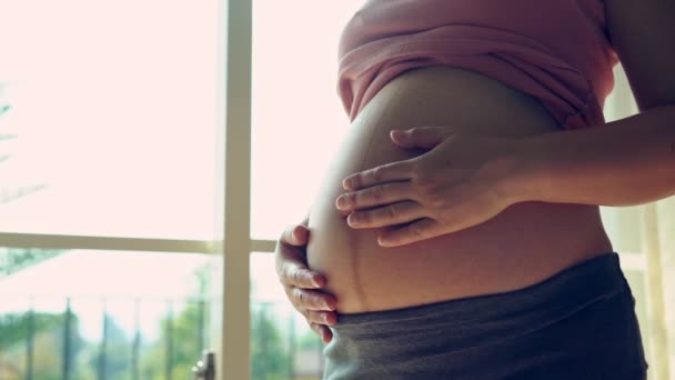 Mujer embarazada feliz y esperando un bebé en casa. — Vídeos de Stock