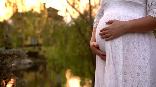 Zwangere vrouw zich gelukkig voelen in de tuin huis. — Stockvideo