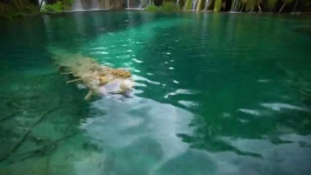 Hırvatistan 'ın Plitvice Göllerinde Şelale. — Stok video