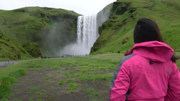 ஐஸ்லாந்தில் உள்ள Skogafoss நீர்வீழ்ச்சிக்கு பயணம் செய்யும் பயணி . — ஸ்டாக் வீடியோ