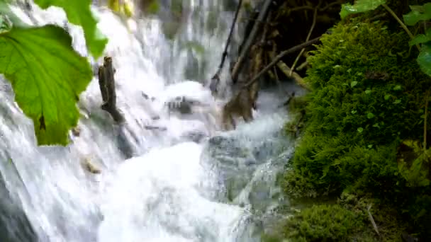 Fließgewässer in den Plitvicer Seen, Kroatien. — Stockvideo