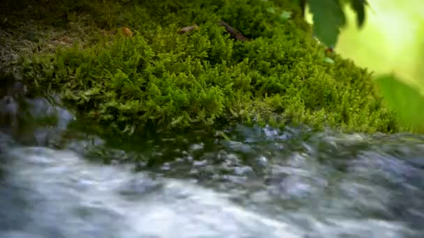 Fluxo de água em Plitvice Lakes, Croácia . — Vídeo de Stock