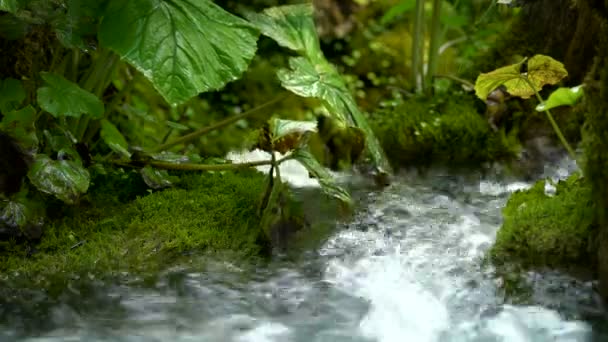 Hırvatistan 'ın Plitvice Göllerinde su akışı. — Stok video