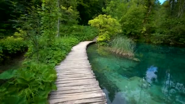 Caminho da natureza em Plitvice Lakes, Croácia . — Vídeo de Stock