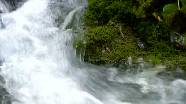 Ροή νερού στο Plitvice Lakes, Κροατία. — Αρχείο Βίντεο