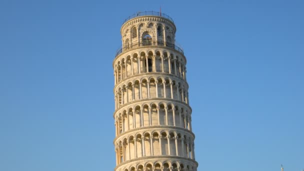 イタリアのピサの斜塔 — ストック動画