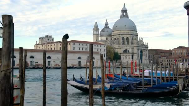 Skyline des Canal Grande in Venedig — Stockvideo