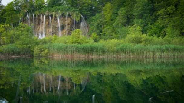 Wodospad w Jeziorach Plitwickich, Chorwacja. — Wideo stockowe