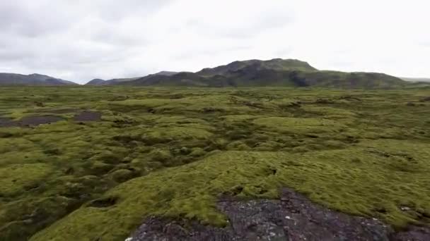 Vista aérea del campo de lava musgoso en Islandia. — Vídeo de stock