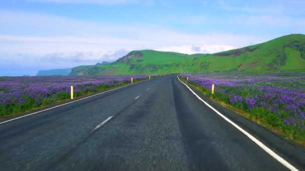 FPV of car driver POV driving along countryside road of Southern Iceland. — Stock Video