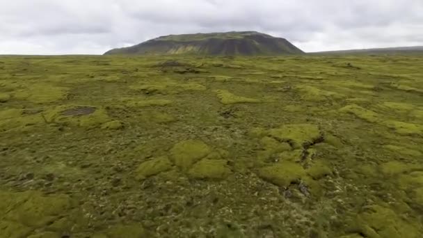Luftaufnahme eines bemoosten Lavafeldes in Island. — Stockvideo
