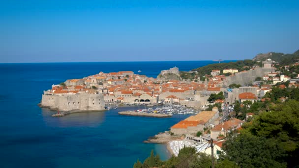 克罗地亚达尔马提亚Dubrovnik Old Town — 图库视频影像