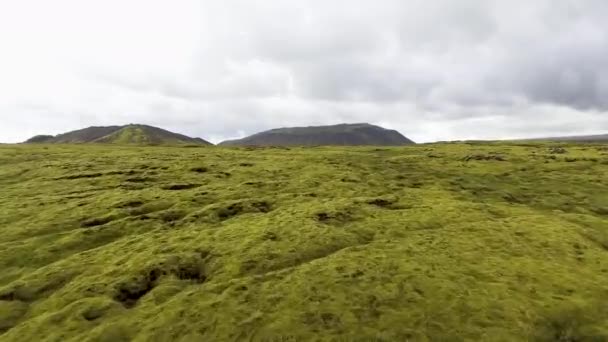 Luftaufnahme eines bemoosten Lavafeldes in Island. — Stockvideo