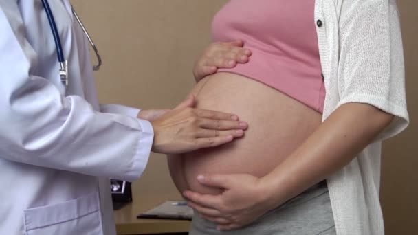 Gravid kvinna och gynekolog doktor vid sjukhuset — Stockvideo