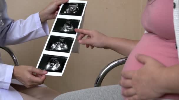 Femme enceinte et gynécologue médecin à l'hôpital — Video