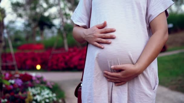 Šťastná těhotná žena a čeká dítě doma. — Stock video