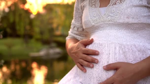 Femme enceinte se sentant heureuse à la maison de jardin. — Video