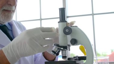 Bilim adamları laboratuarda bilim ekipmanlarıyla çalışıyor. Bilimsel araştırma kavramı