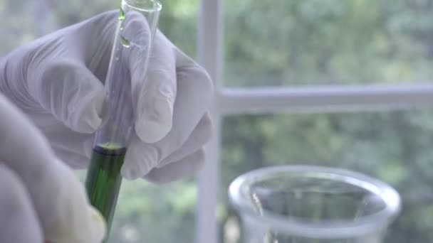 Les scientifiques travaillent avec du matériel scientifique en laboratoire. Concept de recherche scientifique — Video